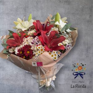 AM5 Ramo mix premiun